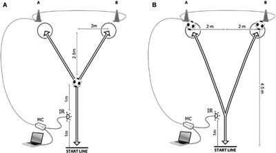 Physiological and Anthropometric Determinants of Performance Levels in Professional Futsal